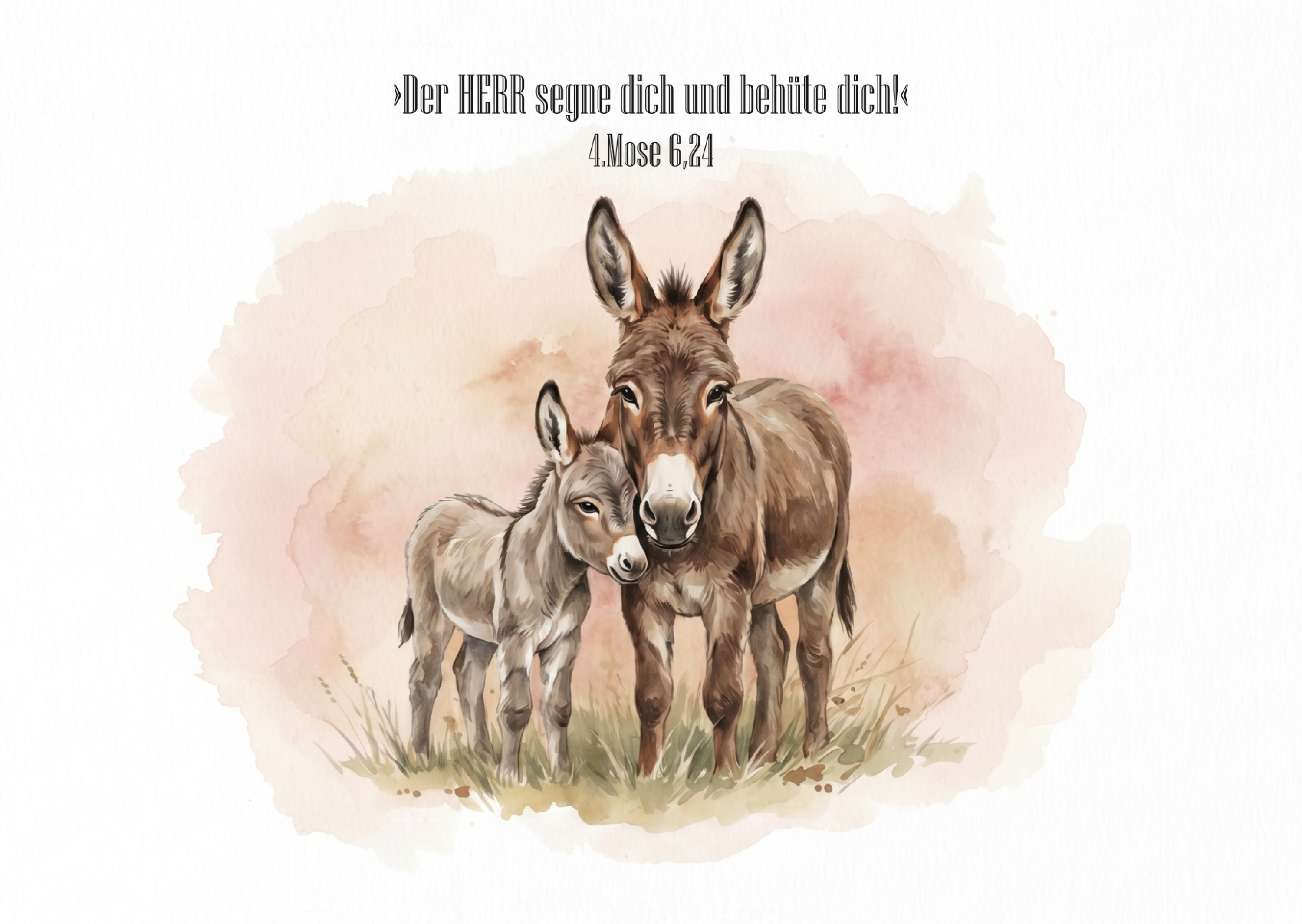 Postkarte "Esel"