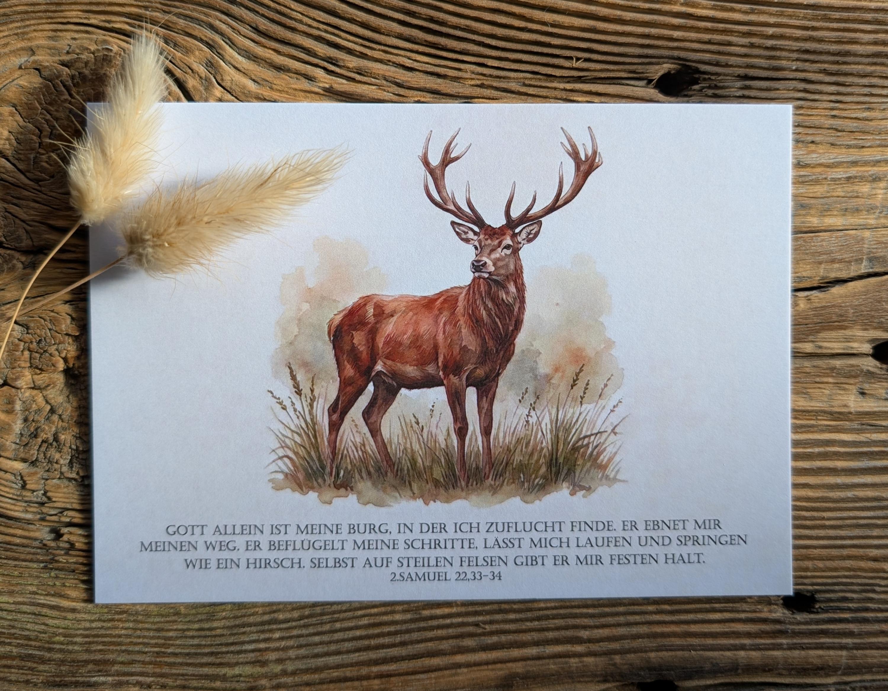 Preview: Postkarte 